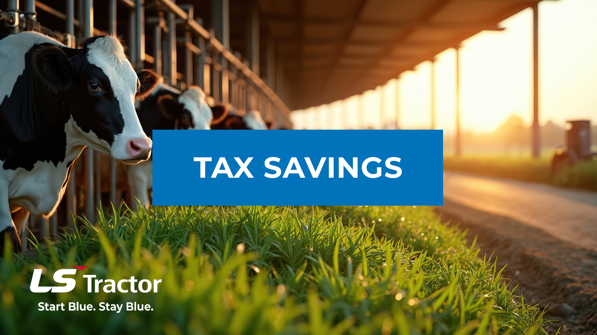 Section 179 Tax Savings