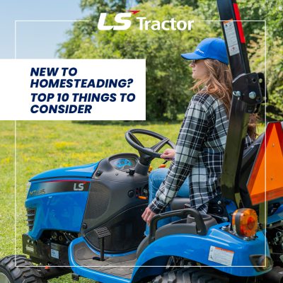 New to Homesteading? Top 10 Things to Consider