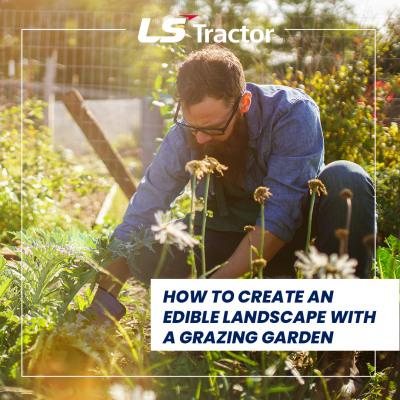 Grazing Gardens with compact tractor