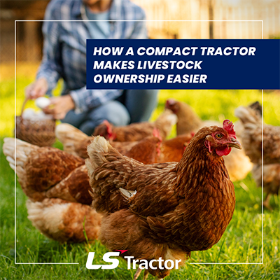 Compact tractor building chicken coop