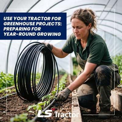 preparing garden beds in greenhouse